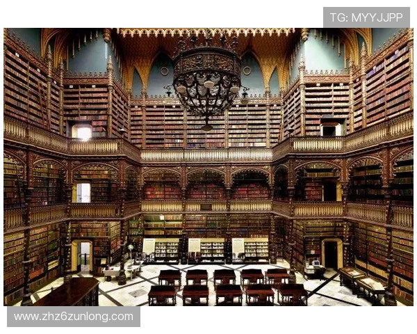 尊龙d88官网登录下载支持多平台操作确保玩家随时随地畅玩无障碍